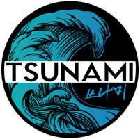 Image result for Tsunami Karate Club