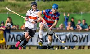 Image result for World of Shinty