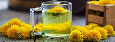 Image result for diente de leon