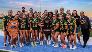 Image result for Ottershaw Girls Fc