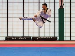 Image result for Hachidori ju-jitsu Martial Arts