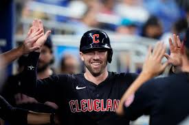 Image result for Frys Badminton Club