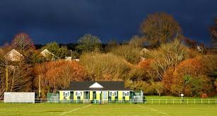 Image result for Fleur De Lys Football Club
