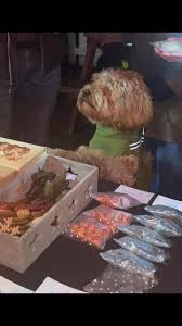 Image result for Brooksbottom Cc