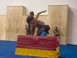 Image result for Les Voleurs Parkour Club