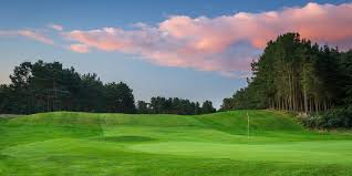 Image result for Forfar Golf Club