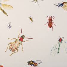 Attēlu rezultāti vaicājumam “Insecta”