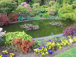 Pond Supplies Make the Best Garden Pond Pond Supplies Make the Best Garden Pond