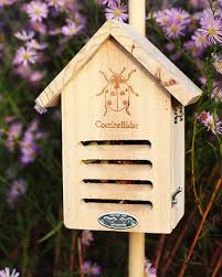 Image result for ladybug house