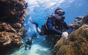 Image result for Divemaster Scuba