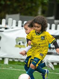 Image result for Penkridge Junior Football Club