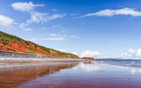Image result for Dawlish Sc