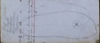 Image result for pheega