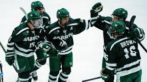 Image result for New Milton Hockey Club