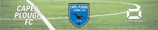 Image result for Capel Football Club