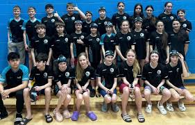 Image result for Dover Lifeguard Sc