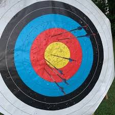 Image result for Blue Arrows Archery Club