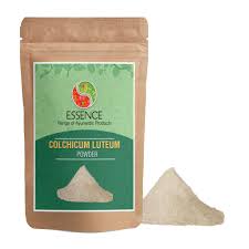Attēlu rezultāti vaicājumam “Colchicum luteum”