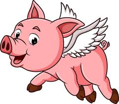 Image result for flying pigs