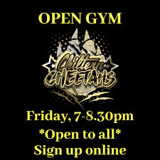 Image result for Chiltern Cheetahs