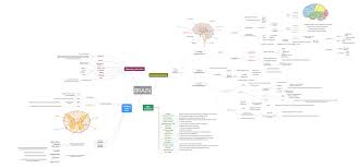 Image result for map of the brain