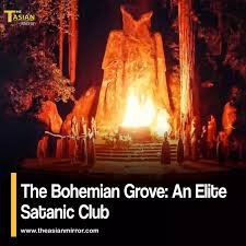 Image result for bohemian club