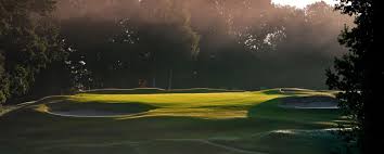 Image result for Brokenhurst Manor Golf Club