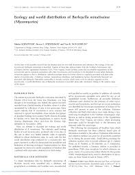 Attēlu rezultāti vaicājumam “Barbeyella minutissima”