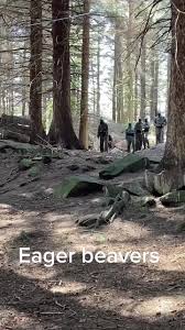 Image result for Powerball Paintball, Brighouse, West Yorkshire