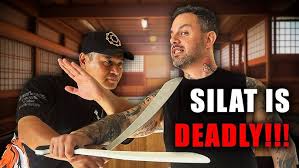 Image result for Silat Pd (Perisai Diri) UK
