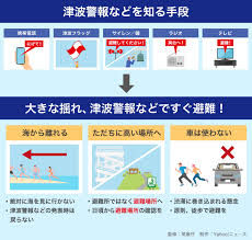 Image result for 耐震 大津波無力