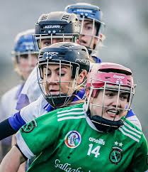 Image result for Patrick Sarsfield Gaelic Athletic Club