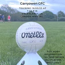 Image result for Garryowen Gfc