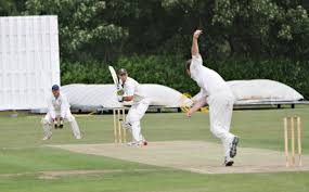 Image result for West Herts Cricket Club