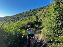 Image result for Troon Smbc