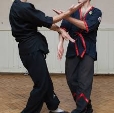 Image result for Windsor WingTsun Kung fu