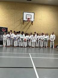 Image result for Goju.co.uk