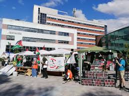 Image result for University of Sheffield Ultimate- Phat 'eds