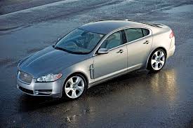 Image result for Silver Fox 2008 Jaguar