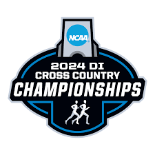 Image result for N C A A C