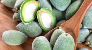 Image result for fresh green almonds