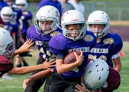 Image result for New Latchingdon Youth Football Club