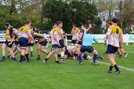 Image result for Cobham Rugby Club