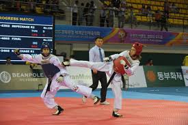 Image result for Turners Tae Kwon Do