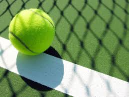 Image result for Dunfermline Tennis & Bridge Club Limited