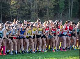 Image result for Brighton & Hove City Athletics Club
