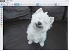 MAGIX FunPix Maker Free Download and Reviews - Fileforum