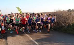 Image result for Abergele Harriers