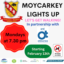 Image result for Moycarkey-Borris Gaa Club