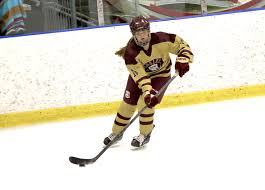 Image result for Elmbridge Eagles Junior Badminton Club